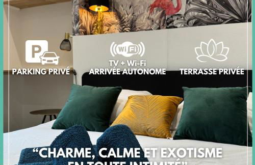 L'Oiseau du paradis - terrasse privée, parking, wifi rapide, arrivée autonome, entre gare et centre-ville, rez-de-chaussée - Foto 1