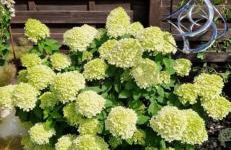 Haus Veronika - Foto 9