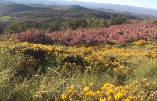 Mosteirinho - Foto 16