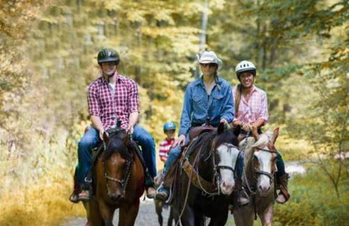 Luxe 10 guest Cottage Ski-Golf-Firepit-Lakes-Hike - Foto 20