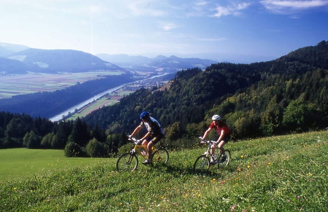 Chalet in Sankt Andra Near Koralpe Ski Area - Foto 37