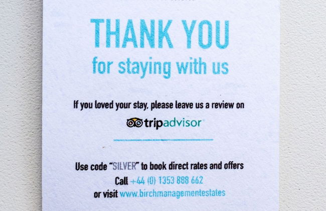 Birch in the Lanes - Foto 2