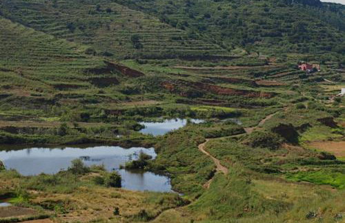 Nature life - Foto 21