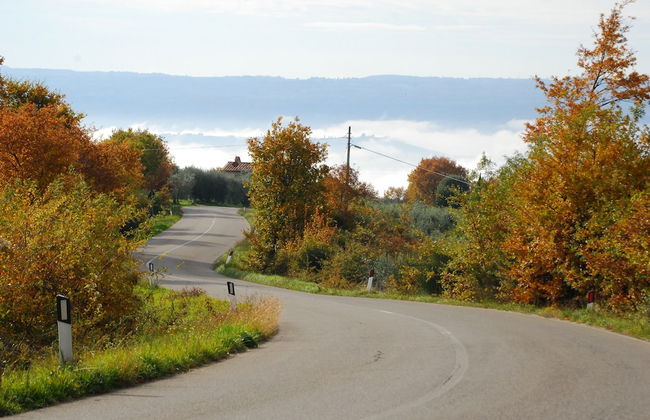 Agriturismo Walden - Photo 31