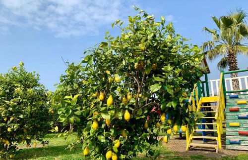 Villa Valentino Pompeji - Foto 57