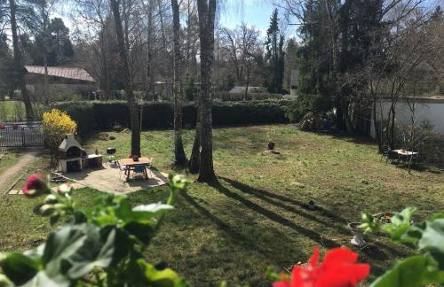 Fun Franz for 6 Persons - Foto 33