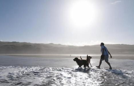 Talehay Cottages - Foto 32