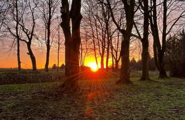 Ferienwohnung Sort Sol Grellsbülldeich 7 - Foto 37