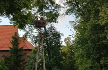 Apartament Wiejska Sielanka - Photo 24