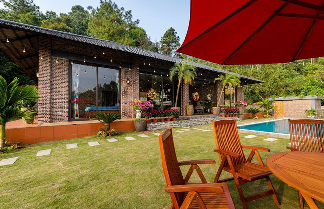 TICO VILLA TAM DAO - Photo 5