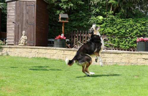 Howard Cottage - Foto 51