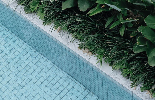 Terra da Luz Villa Hotel - Foto 63