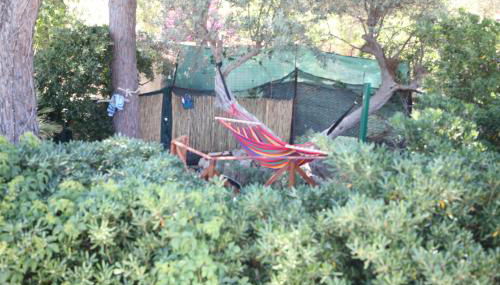 Casa Elvira - Foto 5, Garden