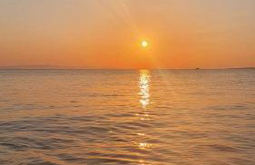 TORONI ALPHA STUDIOS - Foto 69