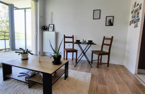 Le Salluste cosy T2 with balcony in Strasbourg - Foto 8