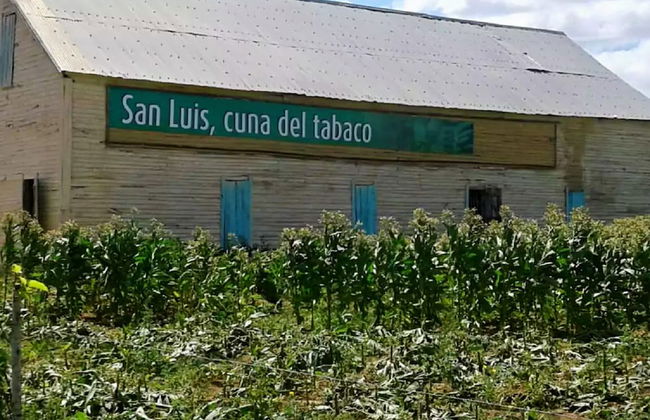 Villa in San Luis with garden and terrace - Foto 28