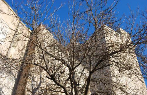 Suite Cagliari -99- - Photo 28