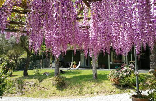 Casas da Tapada Briteiros Casa Do Espigueiro - Foto 7