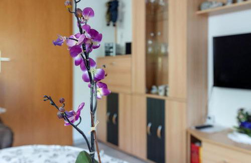 Gästehaus Ilona - Foto 9