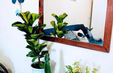 Sol e Sal 105 - Foto 12