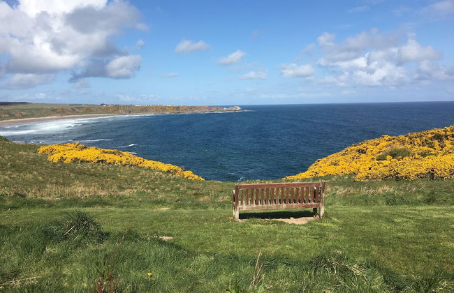 Zen Cottage, Cullen - Sleeps 4, Garden & Pets Ok - Foto 38