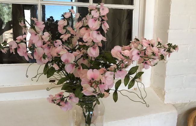 Bendleby Ranges - Foto 57