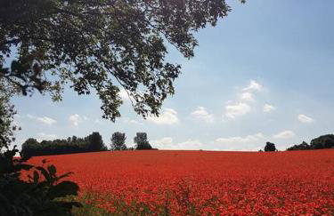 No6 High Street - Foto 30