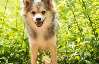 Dimora Soleda - Foto 55