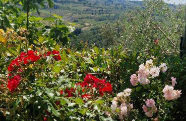 Santa Cristina - Photo 10