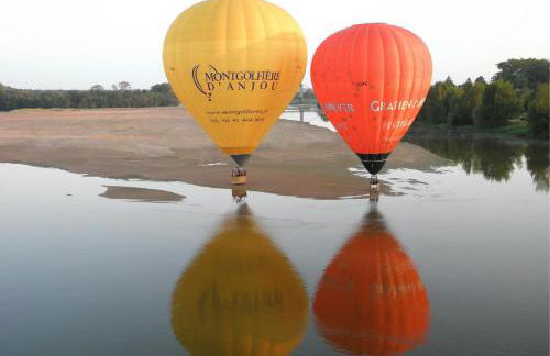 Les logis du forgeron, Gites de groupe entre Loire & vignes - Foto 56