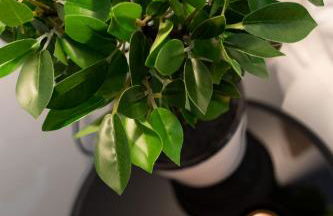 River Apartment in the heart of Bilbao EBI-01297 - Foto 24