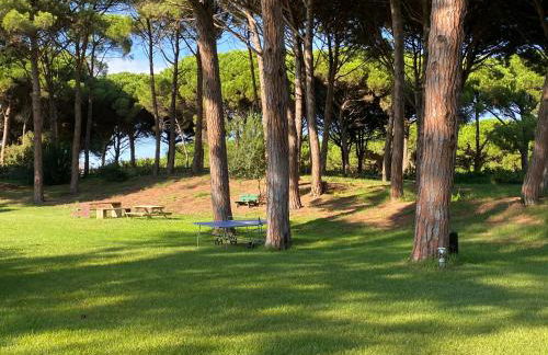 Moderno apartamento en Empordà Golf - Foto 27