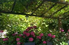 Αρχοντικό Πρεπάλα - Photo 7