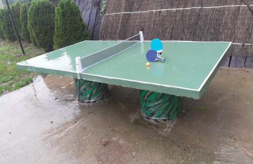 Kuća za odmor Janković - Foto 11