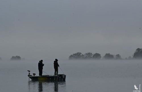 Cottage 12A jusque 4 pers Bulle Der Lac du Der - Foto 20