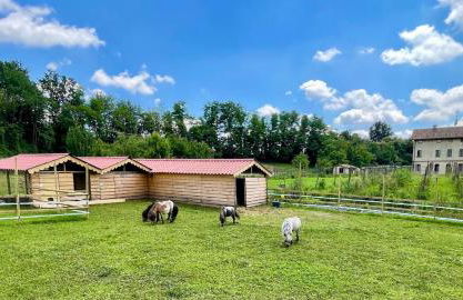 Agriturismo Brusignone - Foto 14