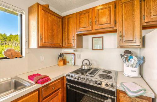 Waterfront Condo right on the Pacific Ocean - Photo 9