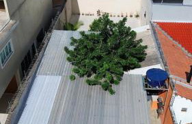 Casa aconchegante bem localizada - Photo 32