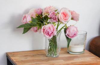 Les Bleuets - Erdivines - Foto 18