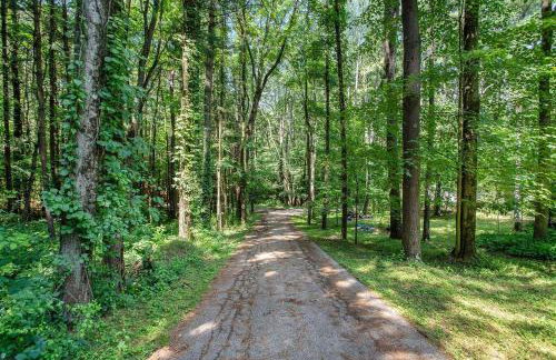 Smitten in da Mitten - 18 acres, Arcades, High Spd Web, Hot Tub, Pond! - Foto 39