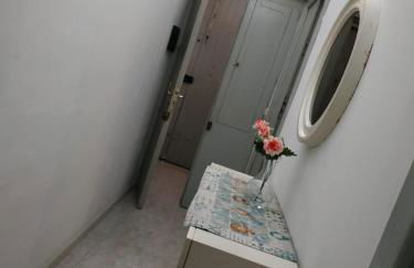 Garibaldi 19 - Foto 19