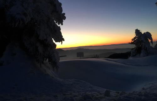 Ferienwohnungen Beilerstädtle - Foto 21