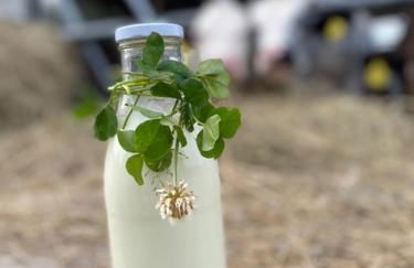 Ferienwohnung auf dem Bauernhof - Foto 47