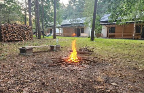 Leśna Osada Wieliszew - Foto 10