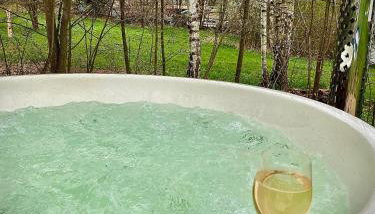 W Karkonoszach na Chacie jacuzzi, sauna, bilard, leśny park - Foto 2