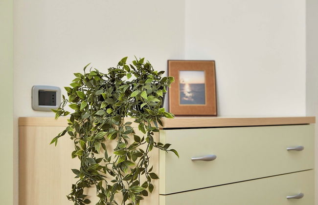 Apartments Bella Villa - Foto 13