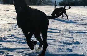Agriturismo Terra Verde - Foto 20