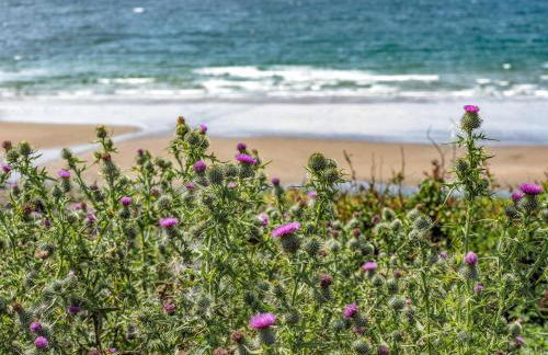 Killantrae Burn - Foto 22