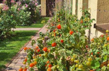 Zielono Mi - Dom Gościnny w Łapalicach - Foto 17