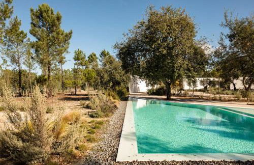 Deluxe Comporta Mundo - Foto 3